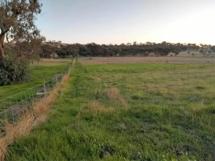 Fourth view of Homely rural property listing, Lot 62, Osborn Rd, Mount Hardey WA 6302