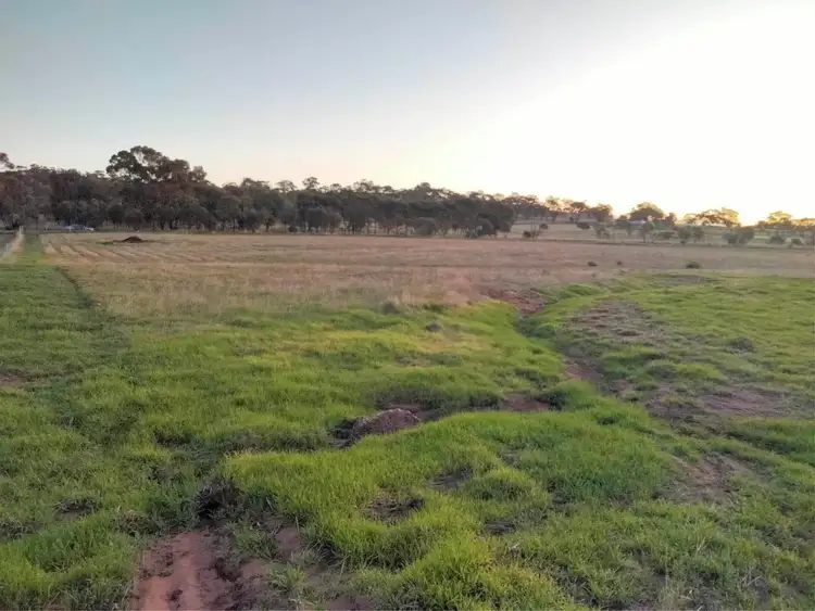Fifth view of Homely rural property listing, Lot 62, Osborn Rd, Mount Hardey WA 6302