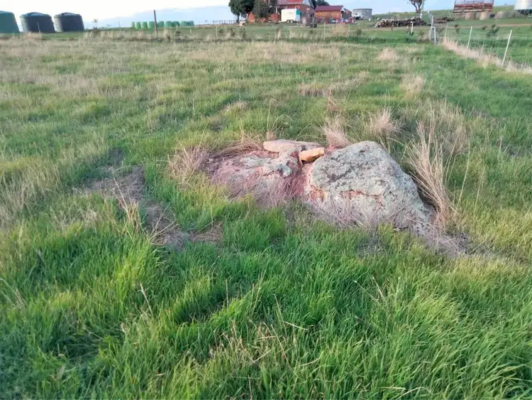Seventh view of Homely rural property listing, Lot 62, Osborn Rd, Mount Hardey WA 6302