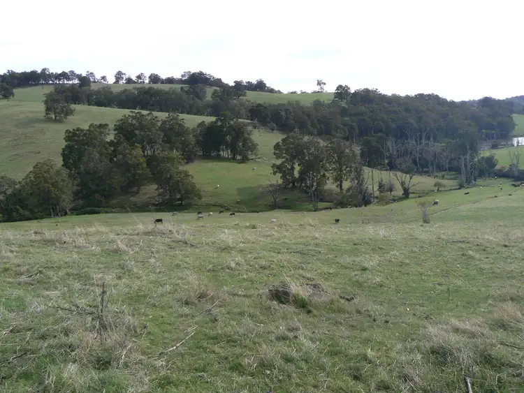 Sixth view of Homely rural property listing, 191 Torridon Road, Newlands WA 6251
