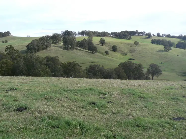 Seventh view of Homely rural property listing, 191 Torridon Road, Newlands WA 6251