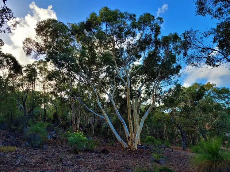 Main view of Homely land listing, 61 Egret Place, Chittering WA 6084