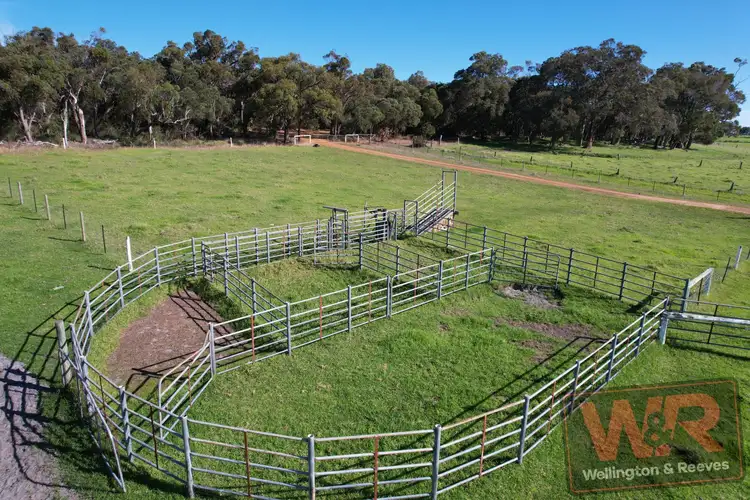 Seventh view of Homely rural property listing, 35 Howell Road, Marbelup WA 6330