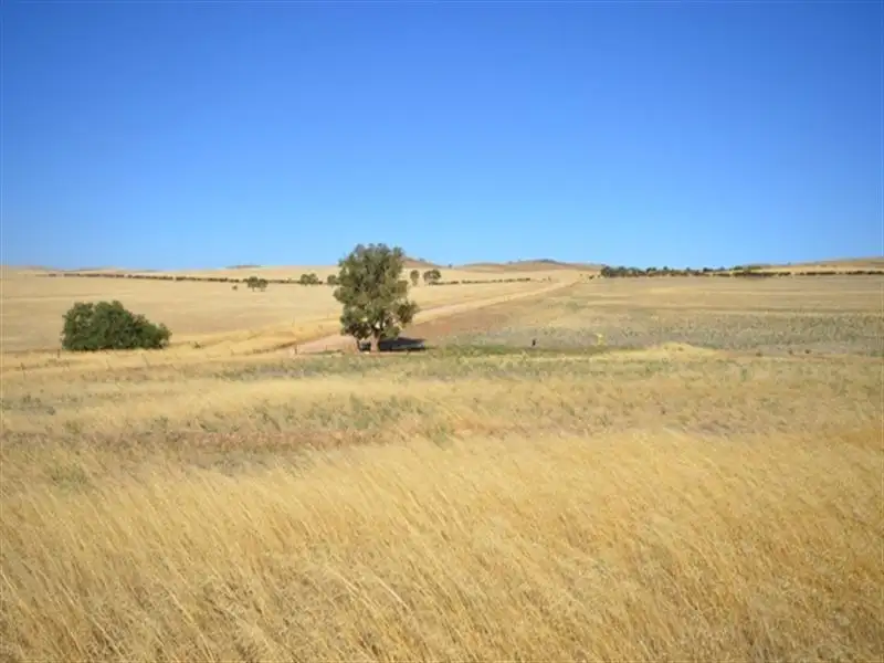 Main view of Homely rural property listing, "Clark Park" Clark Road, Pekina SA 5431