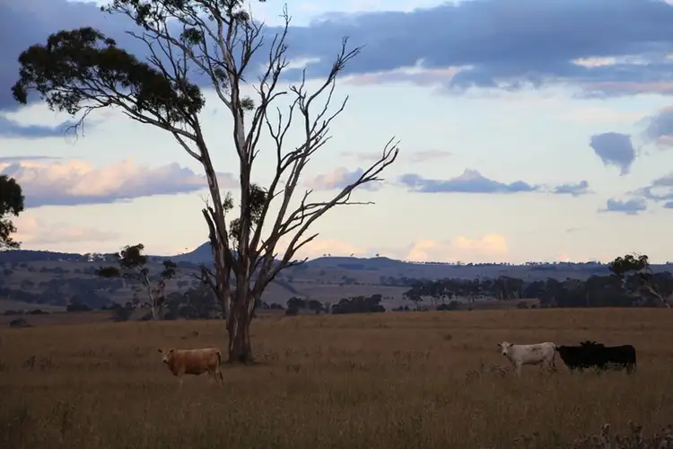 Second view of Homely rural property listing, 7356 Guyra Road, Guyra NSW 2365