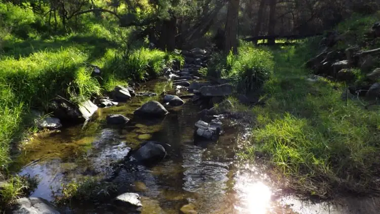 Fifth view of Homely rural property listing, Off Carrowbrook Road, Singleton NSW 2330