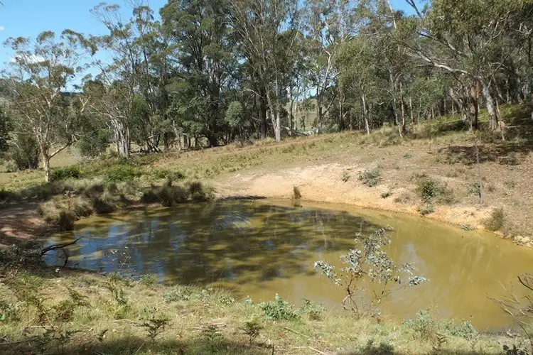 Fifth view of Homely rural property listing, Lot 3 189 Norman Lea Road, Hampton NSW 2790