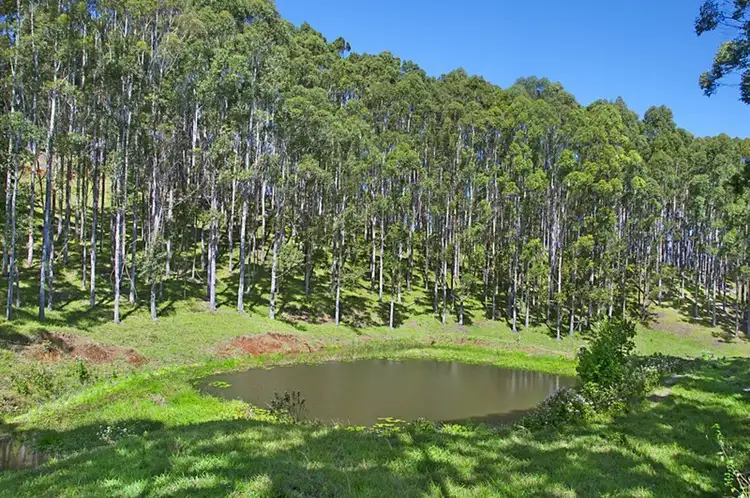 Fifth view of Homely rural property listing, 86 Foresters Way, Tintenbar NSW 2478