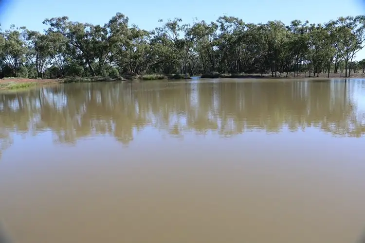 Fifth view of Homely rural property listing, 0 DRUMFERN, Roma QLD 4455