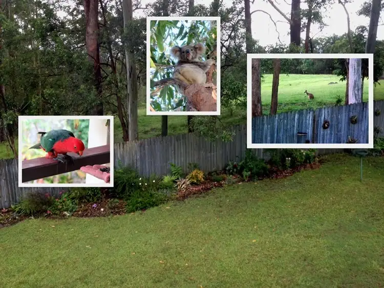 Third view of Homely house listing, 12 Palmvale Drive, Goonellabah NSW 2480