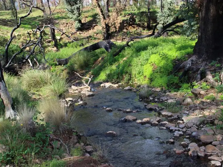 Third view of Homely rural property listing, . Lumeah, Coonabarabran NSW 2357