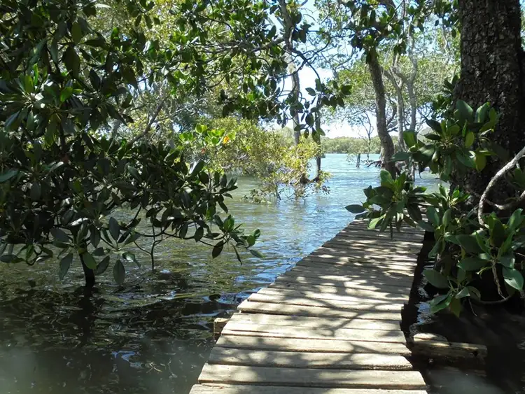 Second view of Homely house listing, 9 Keats Street, Russell Island QLD 4184