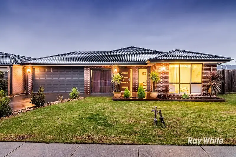 Main view of Homely house listing, 24 Everlasting Boulevard, Cranbourne West VIC 3977