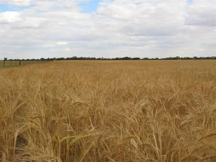 Seventh view of Homely rural property listing, Sec. 75 Senior Road, Bordertown SA 5268