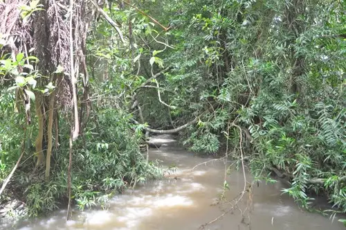 Seventh view of Homely rural property listing, Address available on request