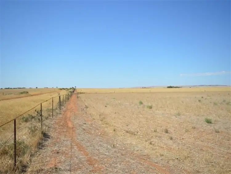 Seventh view of Homely rural property listing, "Andriskes" Everard via, Blyth SA 5462