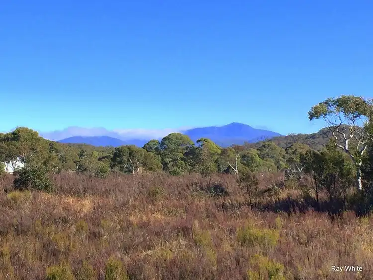 Fifth view of Homely rural property listing, 34 Farringdon, Braidwood NSW 2622