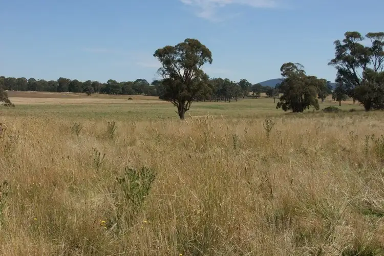 Fifth view of Homely rural property listing, 90 Sunset Hills Road, Blayney NSW 2799