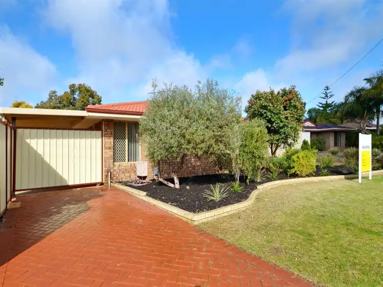 Main view of Homely house listing, 17 Steedman Loop, Mirrabooka WA 6061