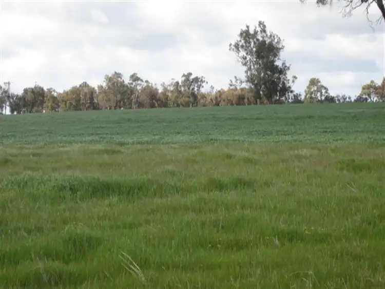 Second view of Homely rural property listing, Lot 1 Martigallup Road, Kendenup WA 6323