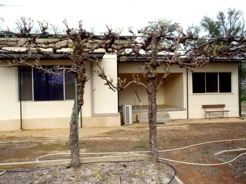 Main view of Homely house listing, 83 Bottom Road, Glossop SA 5344