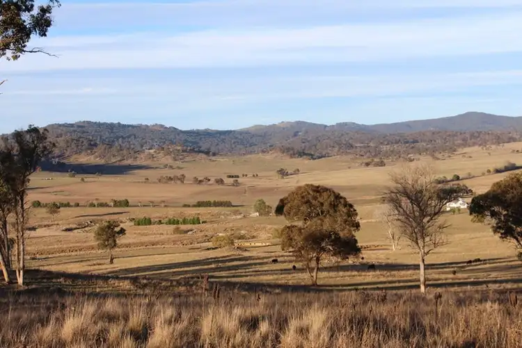 Fourth view of Homely rural property listing, Fairview, 13 Murray's Road, Wollomombi NSW 2350