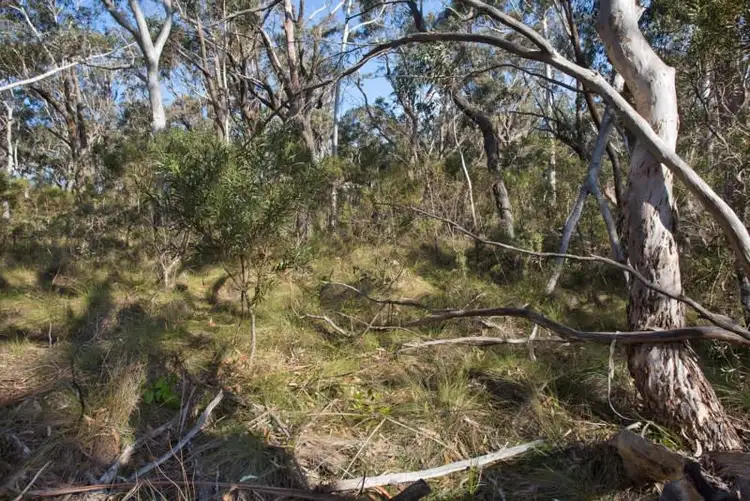 Third view of Homely land listing, Block 10 - Lot 171 and 127 DP 16449 - 44 Godson Avenue, Blackheath NSW 2785
