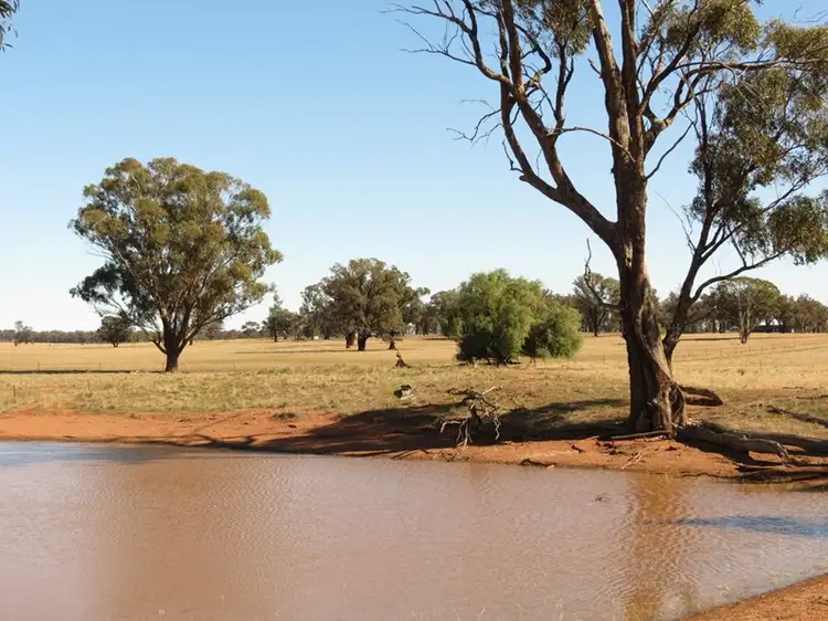 581 Slingers Lane, Temora NSW 2666
