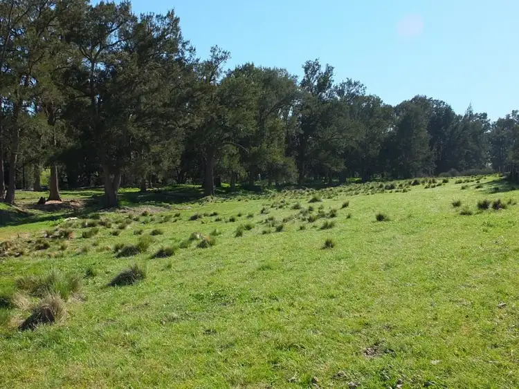 Seventh view of Homely rural property listing, Lot 2 O''Connell Plains Road, O'connell NSW 2795