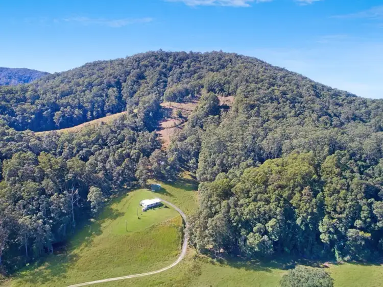 Third view of Homely rural property listing, 418 Upper Crystal Creek Road, Crystal Creek NSW 2484