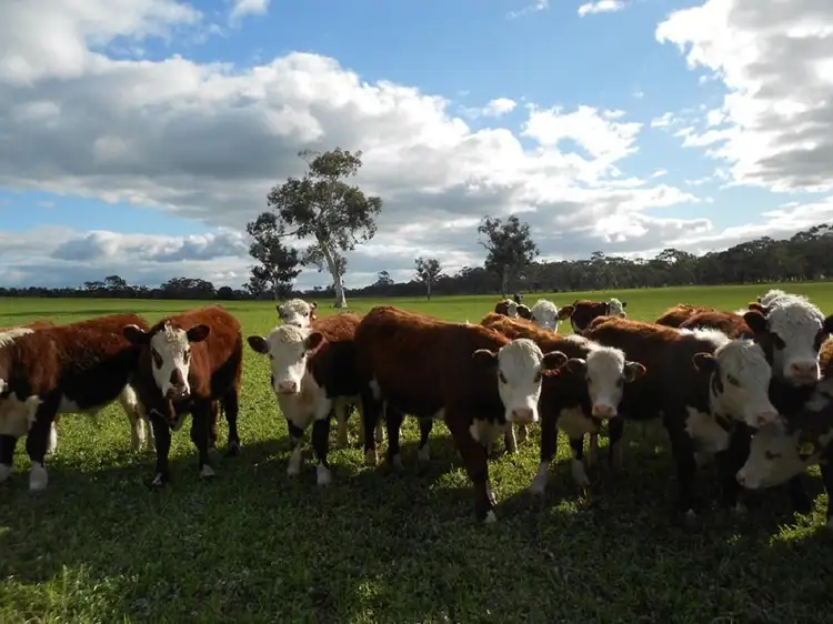2397 Naracoorte Road, Bordertown SA 5268