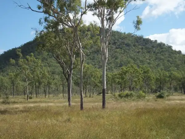 Fifth view of Homely land listing, Lot 558 Granitevale Road, Alice River QLD 4817