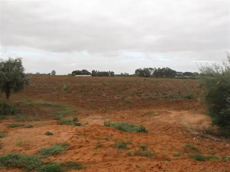 Second view of Homely rural property listing, 534 and 535 Gordon, Barmera SA 5345