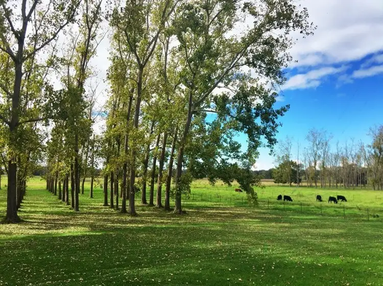 Third view of Homely land listing, 112 Manning River Drive, Taree NSW 2430