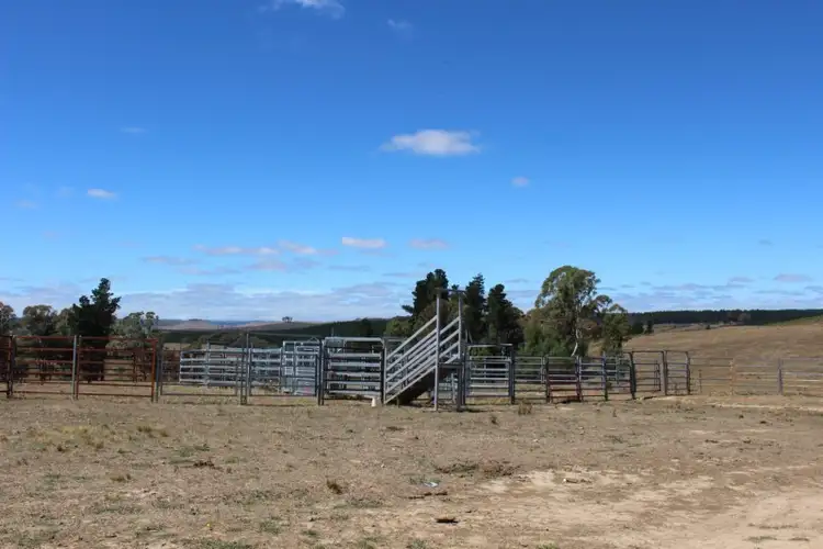 Seventh view of Homely rural property listing, Address available on request