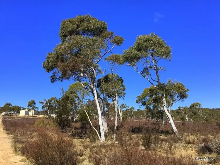Fifth view of Homely rural property listing, 45 Tee Tree, Bombay NSW 2622