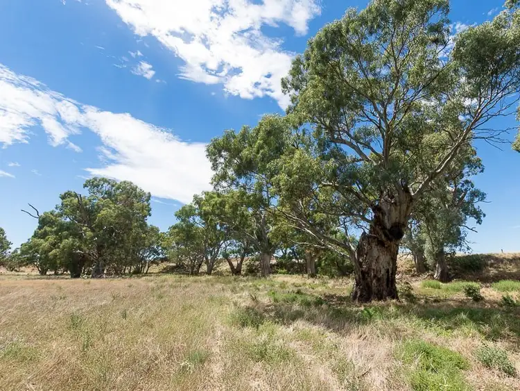Seventh view of Homely land listing, 2284 Ridley Road, Angas Valley SA 5238