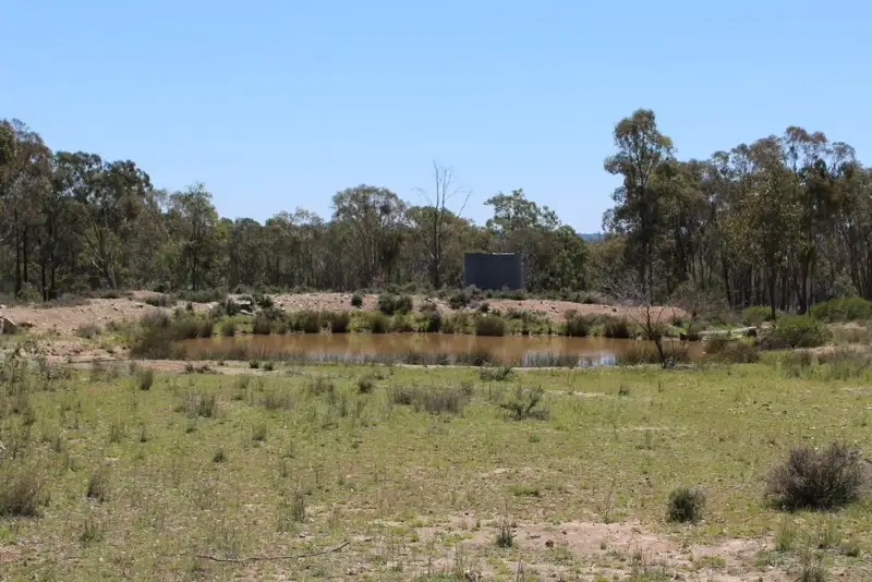 Main view of Homely rural property listing, 18325 Cunningham Highway, Karara QLD 4352