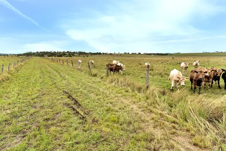 Fourth view of Homely rural property listing, 180 Talgai Road, Allora QLD 4362