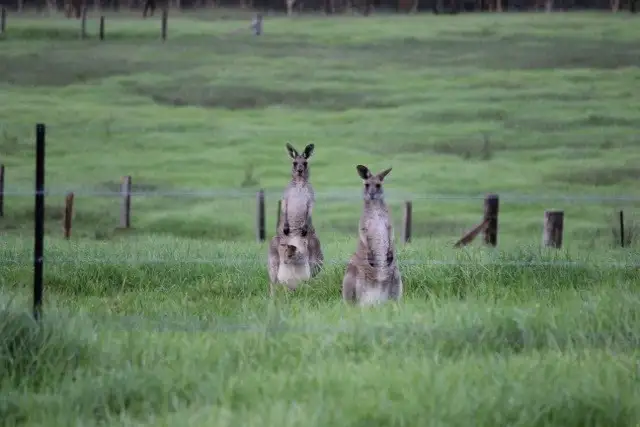 Lot 304 Limeburners Creek Road Boat falls Estate, Clarence Town NSW 2321