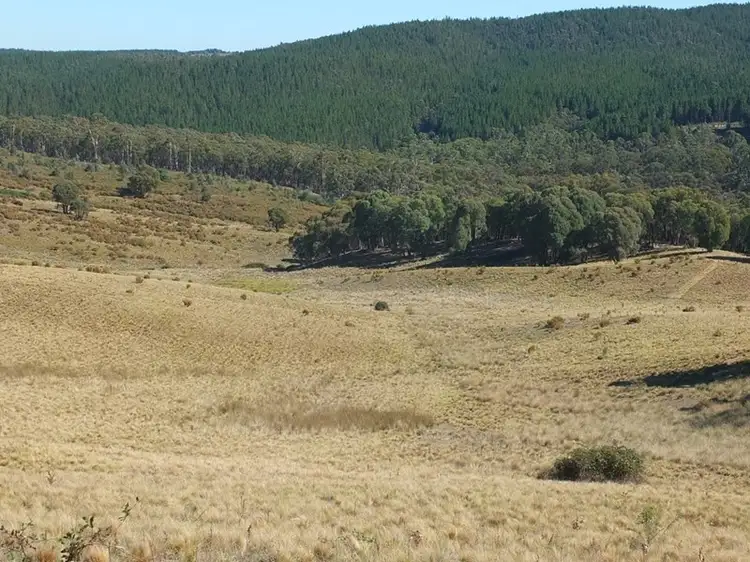 Sixth view of Homely rural property listing, Address available on request