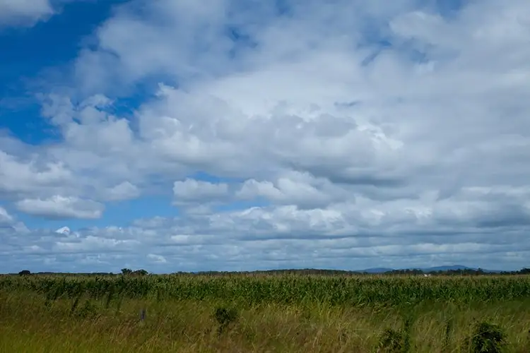 Fifth view of Homely rural property listing, 357 Manning Point Road, Oxley Island NSW 2430