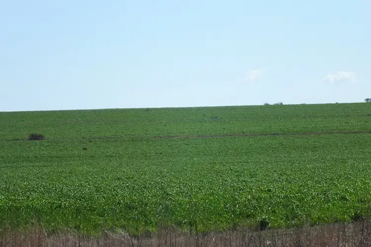 Second view of Homely rural property listing, 3621 Millmerran Inglewood Road, Millmerran QLD 4357