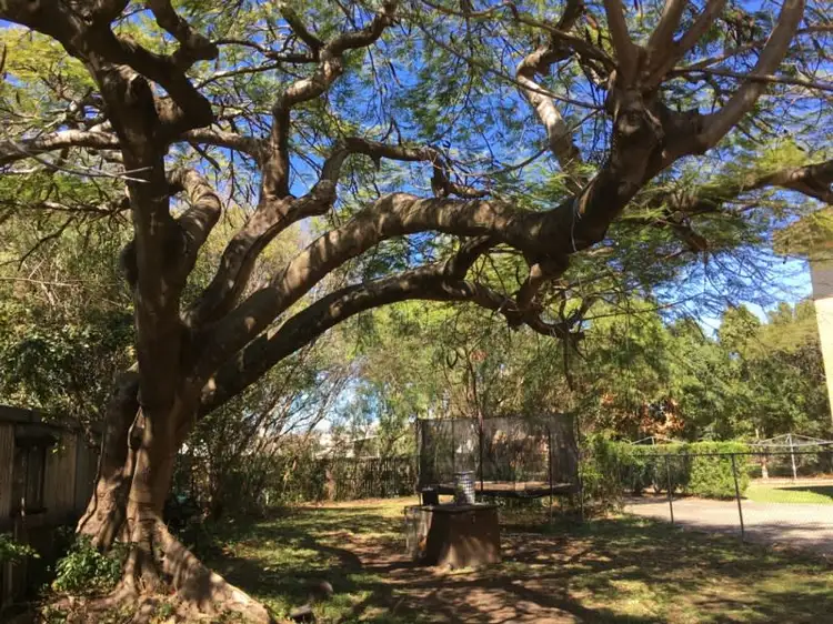 Second view of Homely house listing, 47 Noble Street, Clayfield QLD 4011