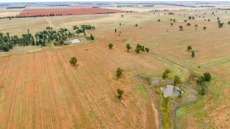 Fifth view of Homely rural property listing, Rocky Ponds, Matong North Road, Matong NSW 2652