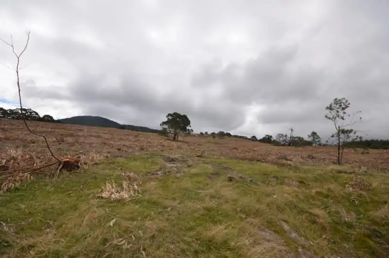 Main view of Homely rural property listing, 'Tiley' Tip Road, Raglan VIC 3373