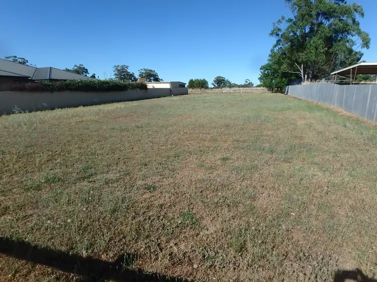 14 Bellevue Street, Temora NSW 2666