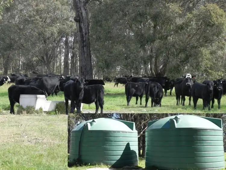 Second view of Homely rural property listing, 2721 "Springshure" Wards Mistake Road, Guyra NSW 2365