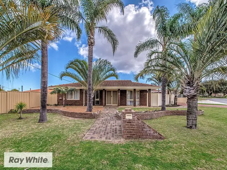 Second view of Homely house listing, 11 Belham Way, Balcatta WA 6021