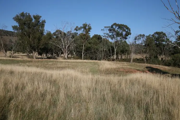 Sixth view of Homely rural property listing, 893 "Dulladerry" Monaghan Road, Manildra NSW 2865